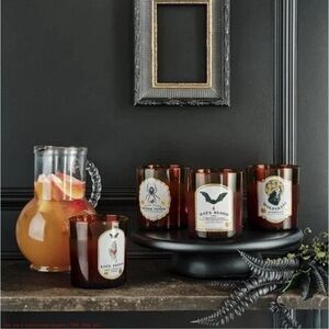 Threshold Potion Tumblers - Set of 4 Glasses - 13.87oz